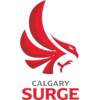 卡尔加里浪涌